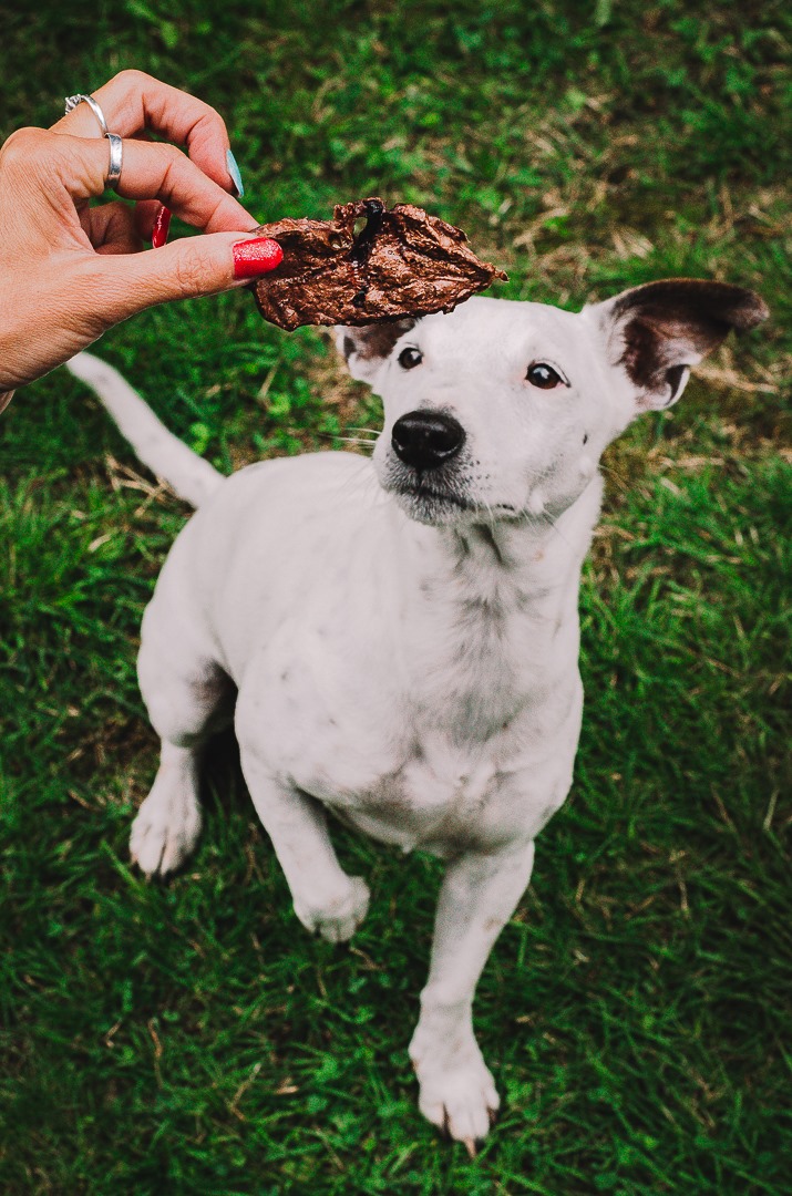 Sušené hovězí plíce plátky - DOG BAR