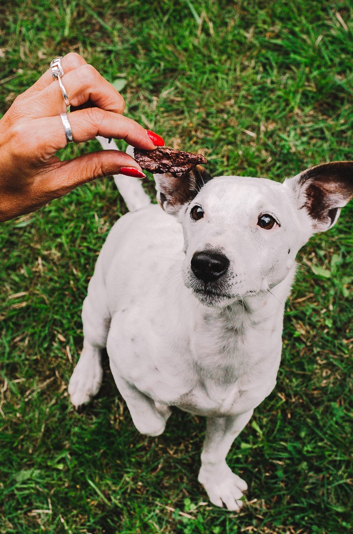 Sušené hovězí plíce kousky - DOG BAR