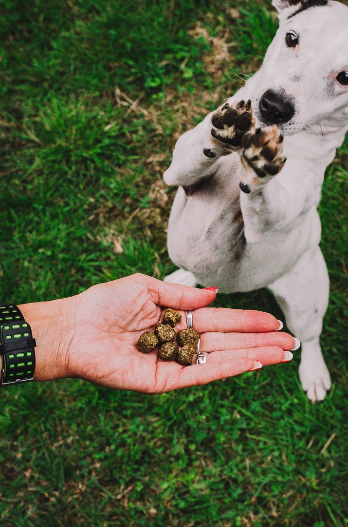 Flora mix z horských luk na plátky - DOG BAR